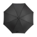 Parasol RAIO
