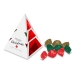Christmas tipi