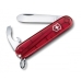 My First, Victorinox czerwony transparentny  kolor wielokolorowy