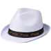 Trilbyset
