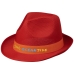 Trilbyset