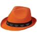 Trilbyset