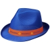 Trilbyset
