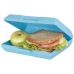 Lunchbox Oblong