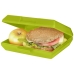 Lunchbox Oblong