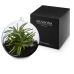 Terrarium Sphere