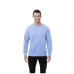 Sweter Surrey