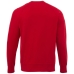 Sweter Kruger